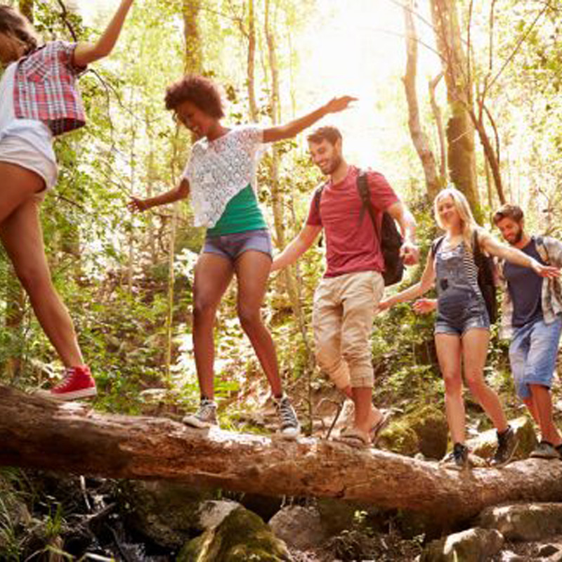 Participants réalisant un parcours d’équipe en forêt