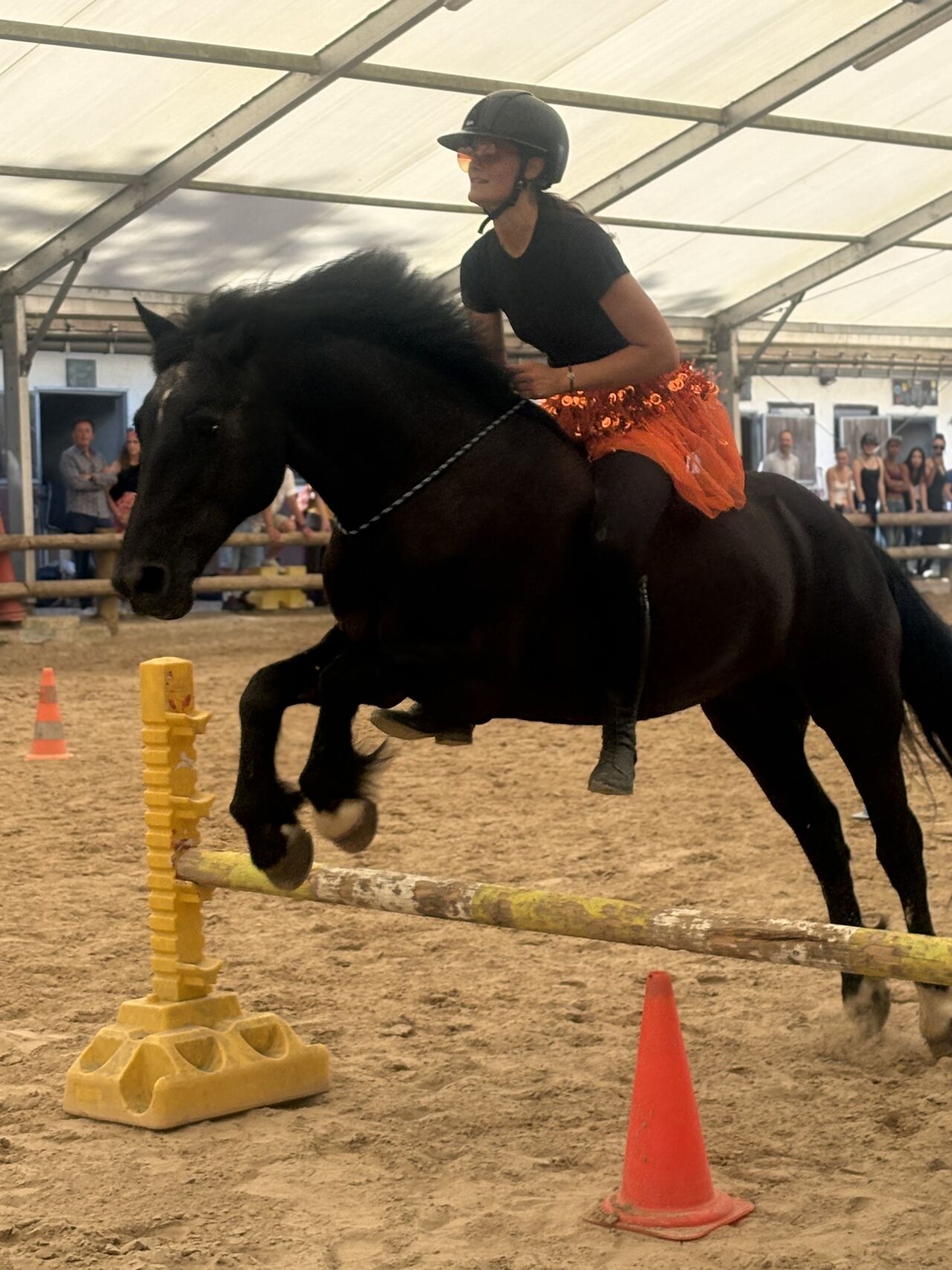 Cavalière et cheval noir pendant le spectacle équestre des 50 ans du Poney Club